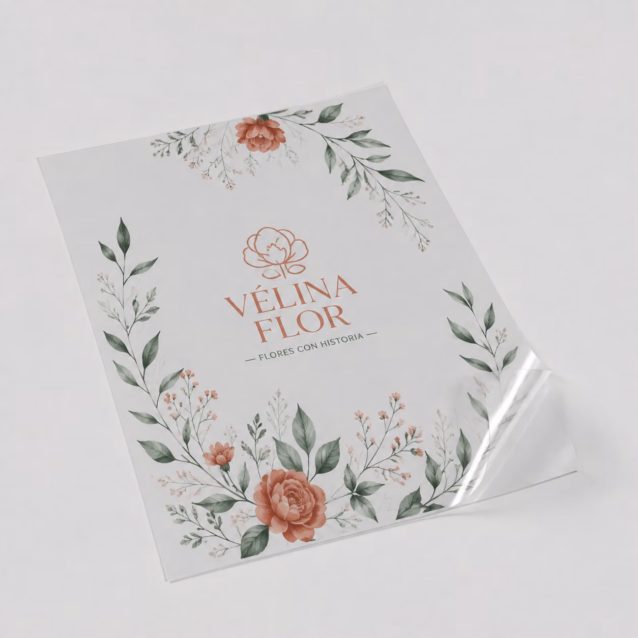 Vinilo transparente con impresión personalizada de la marca ficticia VÉLINA FLOR